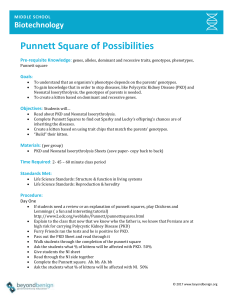 Punnett Square Possibilities (1)