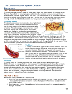  Cardiovascular System