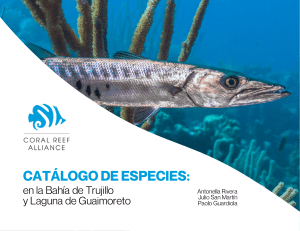 Catálogo-de-Especies-Bahía-de-Trujillo-y-Laguna-de-Guaimoreto-20.04.21-1 (1)