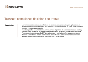 trenzas-conexiones-flexibles-tipo-trenza-es
