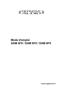 Mode d'emploi DAM FX4 - 6 - 8-FINAL 