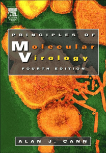 分子病毒学原理Principles of Molecular Virology(4th,2005)