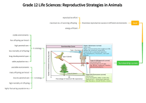 Reproductive Strategies in Animals Summary