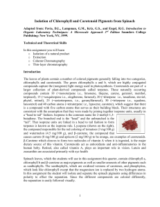 Spinach Pigments handout Spring 2016