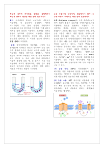 서술형문제