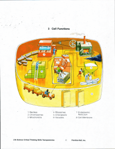 Cell Functions - Factory