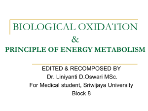 Principle of Energy Metabolism