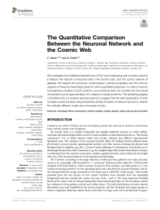 paper cientifico comparación entre cerebro y cosmos