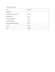 Bugdet for Floo-WPS Office