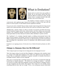 What is Evolution  Introduction to Skull Lab Article - Google Docs