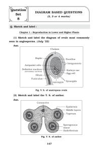 biology diagram questions 