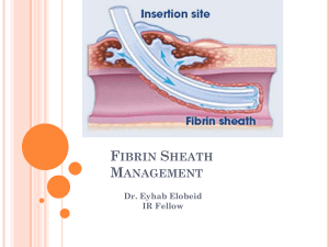 Fibrin Sheath Management
