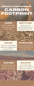 Carbon Footprint Climate Change Informational Infographic