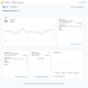 Website User Acquisition Analytics Report