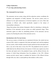 Autonomic Nervous System: Pharmacology Lecture Notes