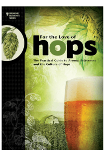 For The Love of Hops