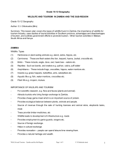 Wildlife & Tourism in Zambia: Grade 10-12 Lesson Plan