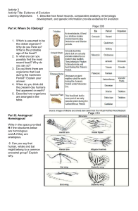 Evidence of Evolution activity sheet with answer key