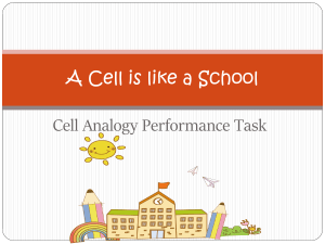 A Cell is like a School