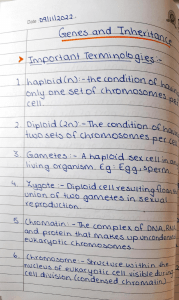 genes and inheritance 