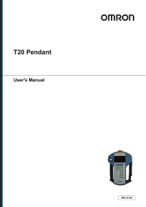 T20 Pendant Users Manual