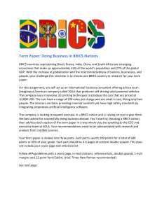 MGS Term Paper Doing Business in BRICS Nations instructions