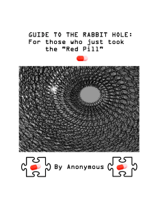 Guide To The Rabbit Hole