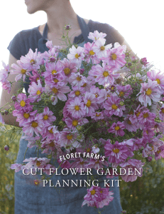 Floret Cut Flower Garden Planning Kit (updated)