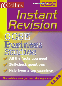 gcse business studies instant revision