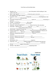 Food Chains and Food Webs Notes