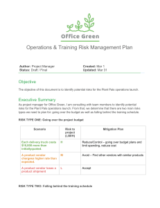 Activity-Template -Risk-management-plan