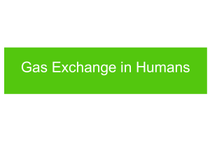 Gas-Exchange