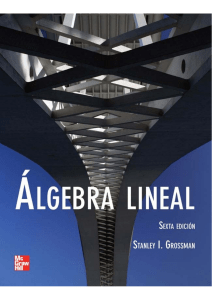 Algebra Lineal Stanley I Grossman