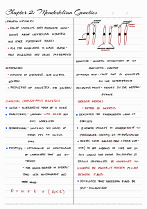 Mendelian Genetics  230324 110647