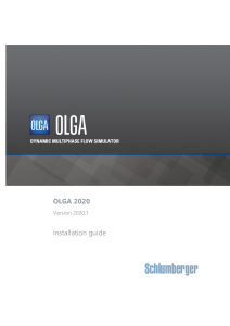 OLGA 20201 Installation guide