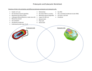 Prokaryotic Eukaryotic Vin diagram Worksheet