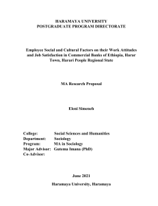 Eleni Semeneh Research Proposal-June-2021