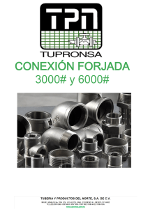CONEXION-FORJADA-3000-Y-6000