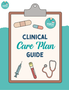 FREE Guide Cinical Care Plan Guide