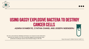 Using Gassy Explosive Bacteria to Destroy Cancer Cells