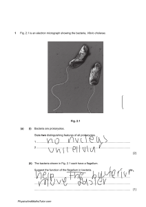 Characteristics & Classification of Living Organisms 1 QP