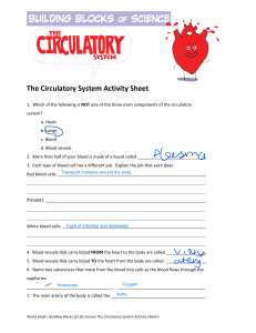 CirculatoryActivitySheet.pdf