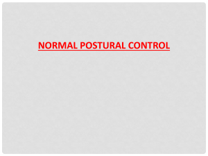 Postural Control