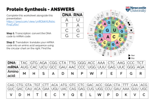 Protein Synthesis - Answers
