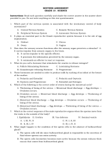 S10 Midterm Assessment