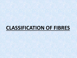 CLASSIFICATION OF FIBRES