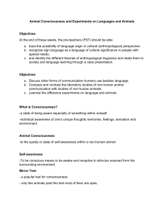 Animal Consciousness & Language Experiments