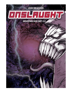 27 - Onslaught