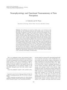 Schnitzler 2000 Neurophysiology and Functional Neuroanatomy of Pain