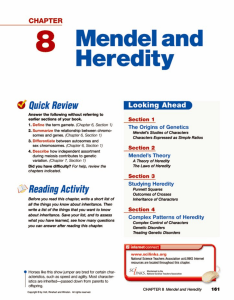 Holt Biology Chapter 8 Mendel Heredity